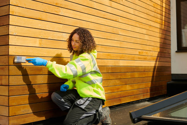 Best Steel Siding Installation  in Kearny, AZ