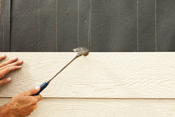 Best Brick Veneer Siding  in Kearny, AZ
